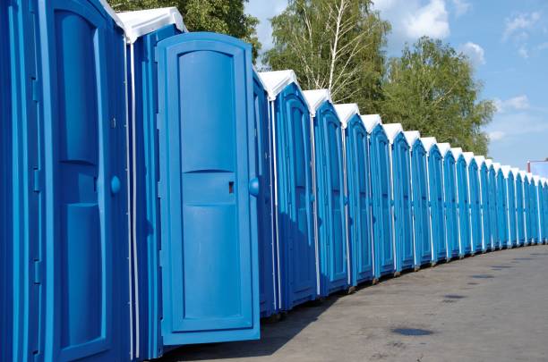 Best Porta potty rental for parties  in Pulaski, WI